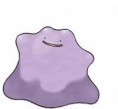 Ditto